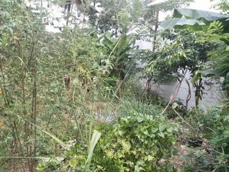 Top Land for Sale Boralesgamuwa