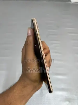 Apple iPhone XS Max 256GB (Used)