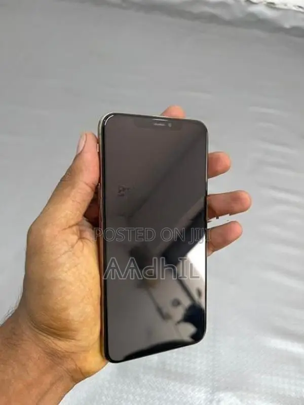 Apple iPhone XS Max 256GB (Used)