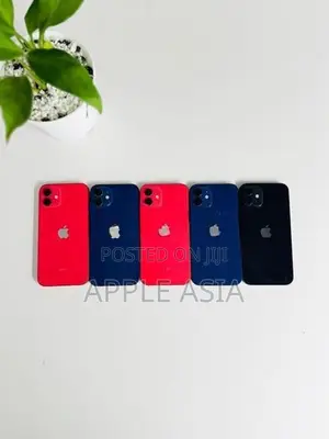 Apple iPhone 12 256GB (Used)