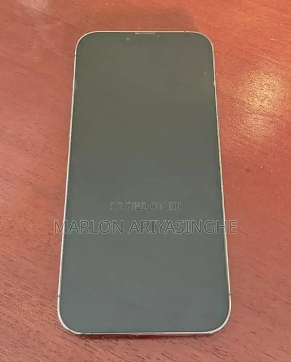 Apple iPhone 13 Pro Max 1TB (Used)