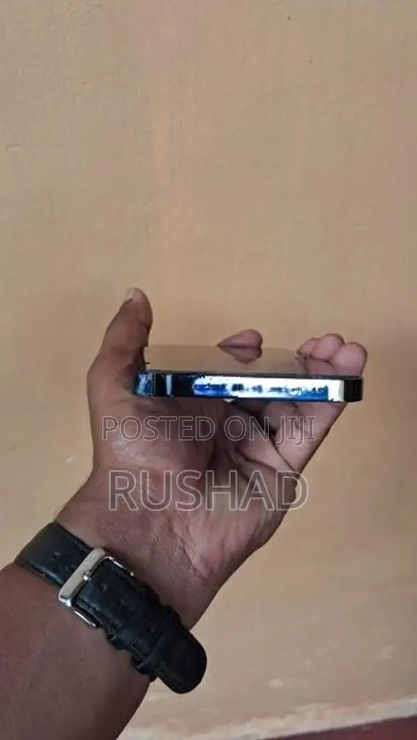 Apple iPhone 13 Pro Max (Used)