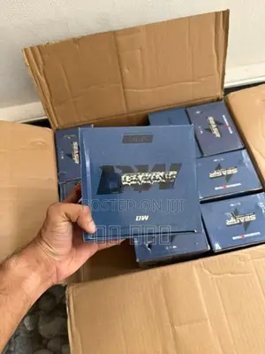 Seasir Dw Spinning Reel
