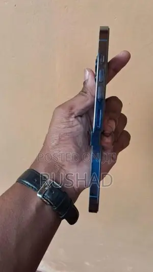 Apple iPhone 13 Pro Max (Used)