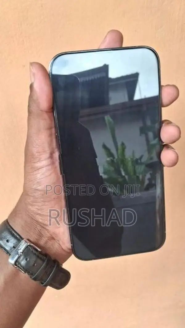 Apple iPhone 13 Pro Max (Used)