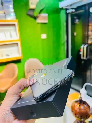 Apple iPhone 11 Pro Max 256GB (Used)