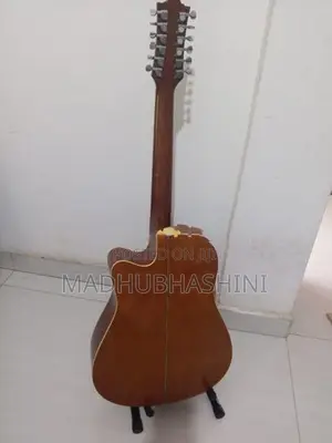 Andier 12 string sami acoustic Guitat