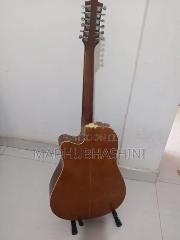 Andier 12 string sami acoustic Guitat