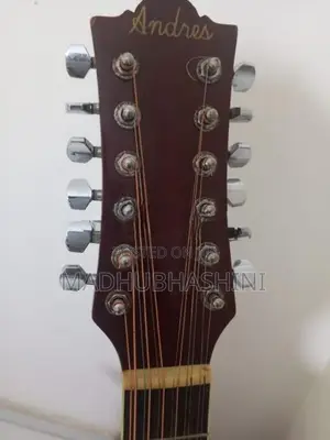Andier 12 string sami acoustic Guitat