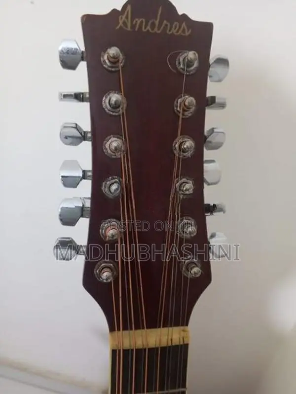 Andier 12 string sami acoustic Guitat