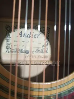 Andier 12 string sami acoustic Guitat