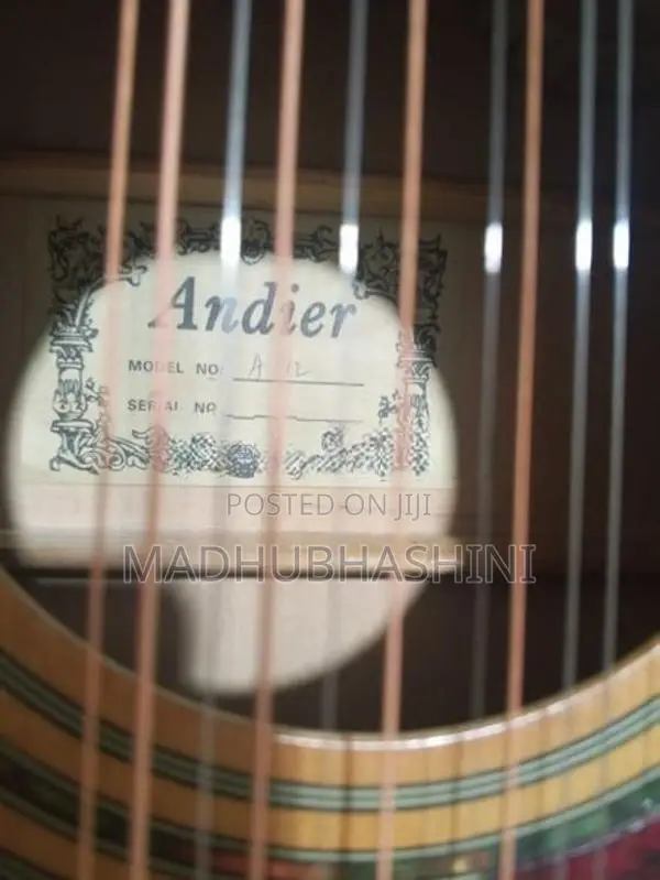 Andier 12 string sami acoustic Guitat