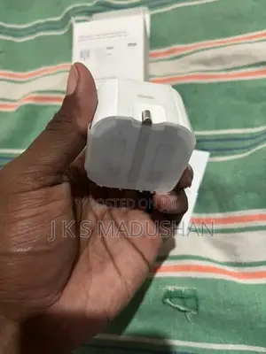 Apple iPhone Charger