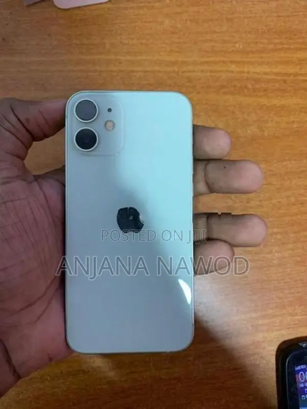 Apple iPhone 12 mini (Used)