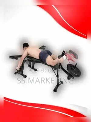 New Bench Home Gym Dumbbell Weight Plate Full Set ✅ 3" Years Warranty