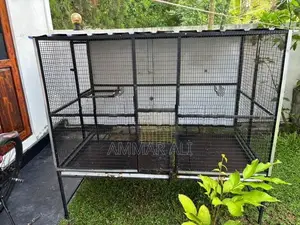 Birt Cage