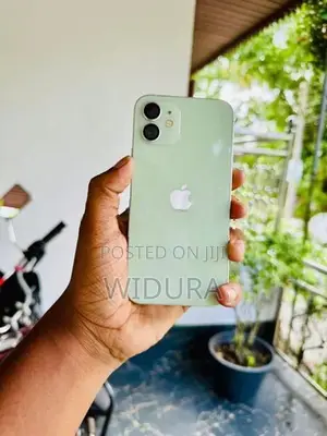 Apple iPhone 12 (Used)