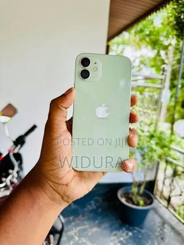 Apple iPhone 12 (Used)