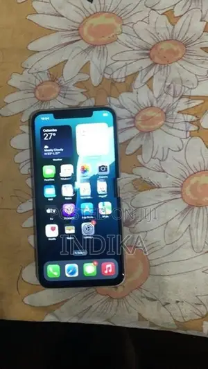 Apple iPhone 11 Pro Max Hoi (Used)