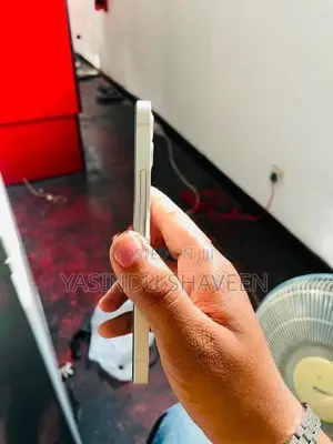 Apple iPhone 12 (Used)