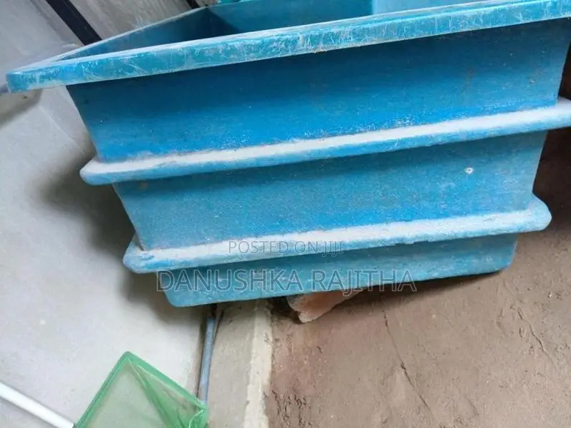 මාළු ටැංකි