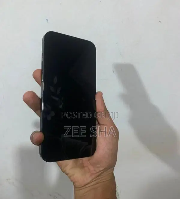 Apple iPhone 13 Pro Max (Used)