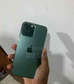Apple iPhone 13 Pro Max (Used)