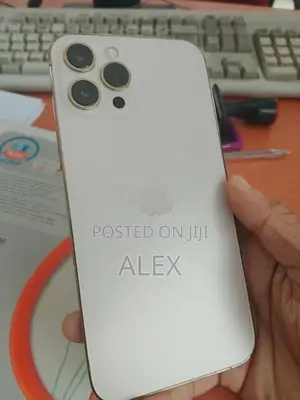 Apple iPhone 12 Pro Max (Used)