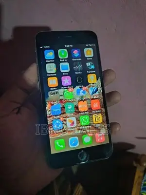 Apple iPhone 6S Plus (Used)