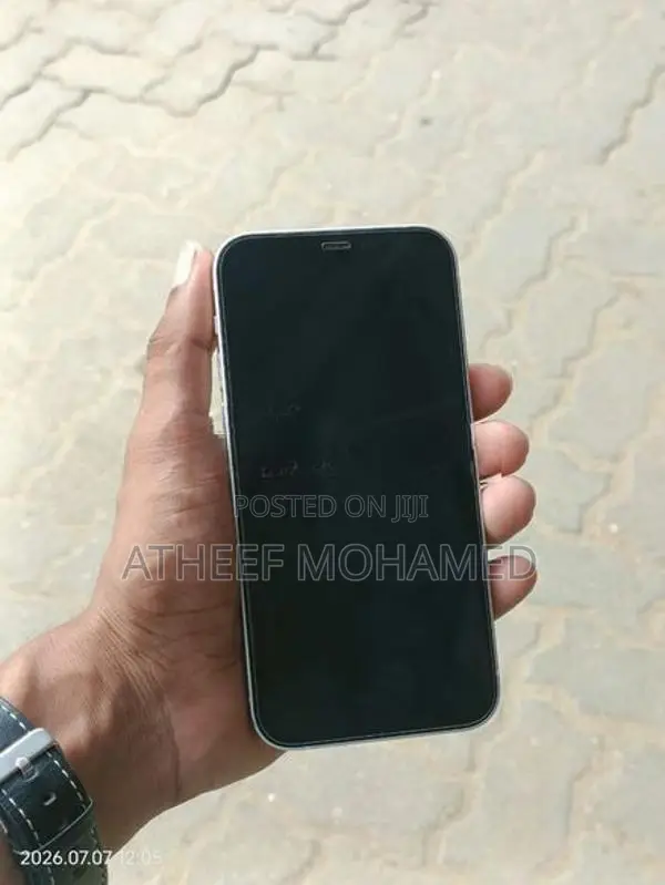 Apple iPhone 12 (Used)