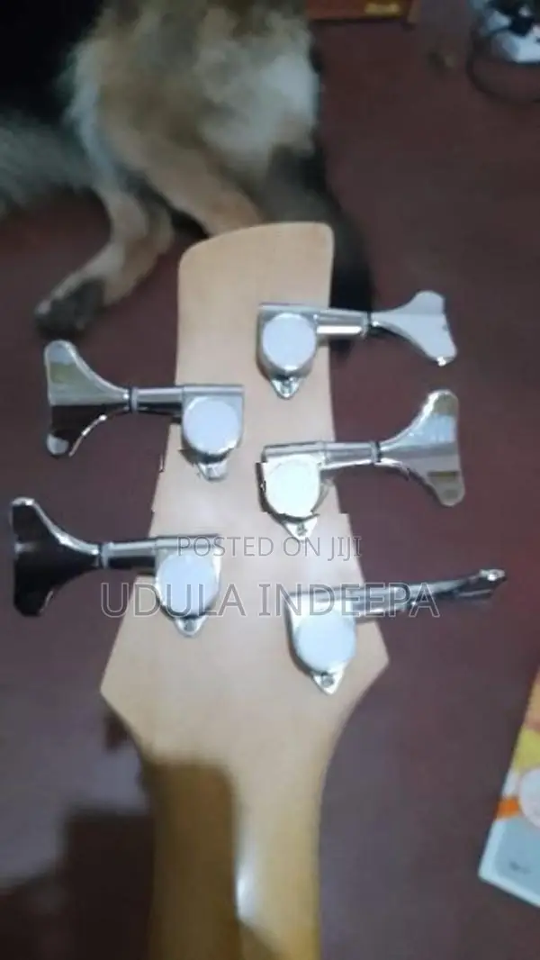 Gio Ibenaz Soundgiar 5string Bass Guitar