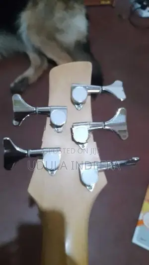 Gio Ibenaz Soundgiar 5string Bass Guitar
