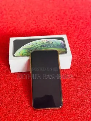 Apple iPhone XS 256GB (Used)