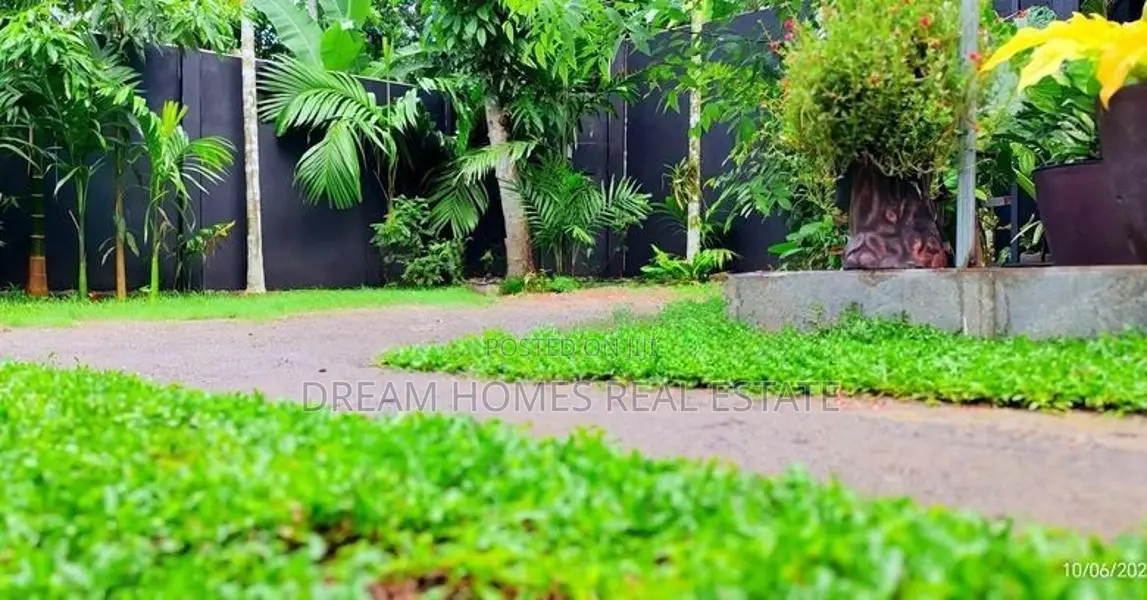 Luxury Beautiful 2 Story House for Sale Nittabuwa