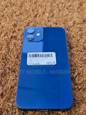 Apple iPhone 12 mini 256GB (Used)