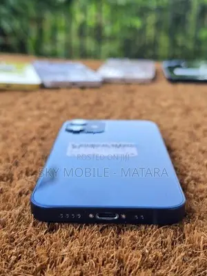 Apple iPhone 12 mini 256GB (Used)