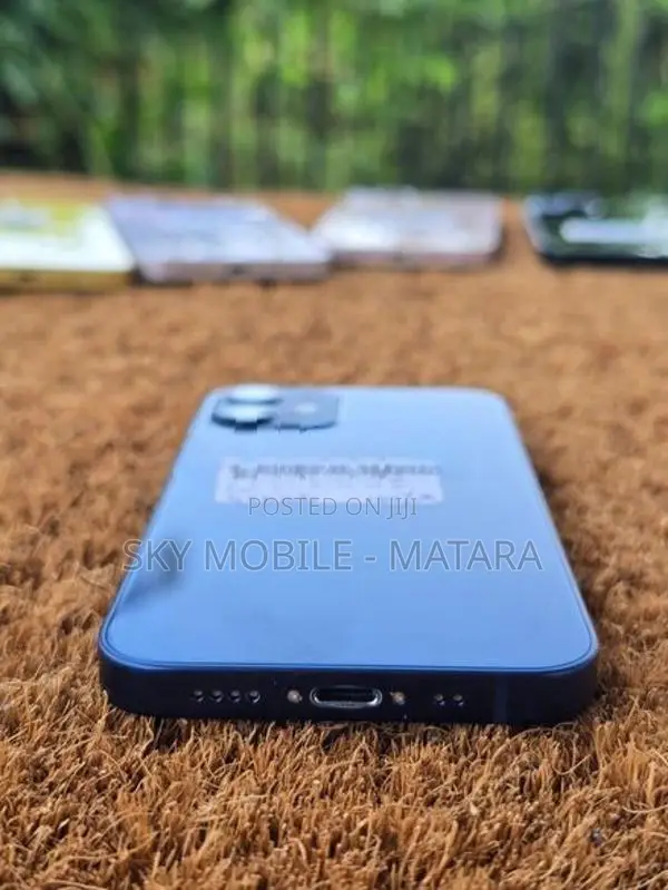 Apple iPhone 12 mini 256GB (Used)