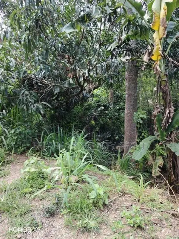 Land for Sale in Kandy Balagolla