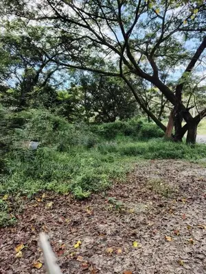 Land for Sale in Kandy Balagolla