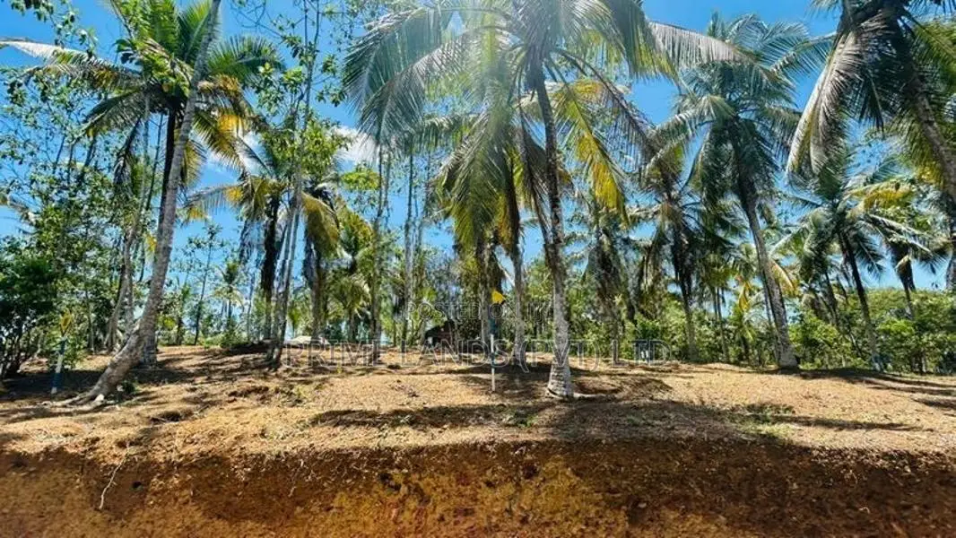 පිලියන්දල නේවාසික බිම් කොටස් විකිණීම