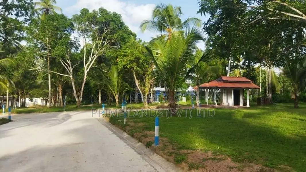 ම්නුවන්ගොඩ දෙවොලපල කදිම බිම්කොටස්