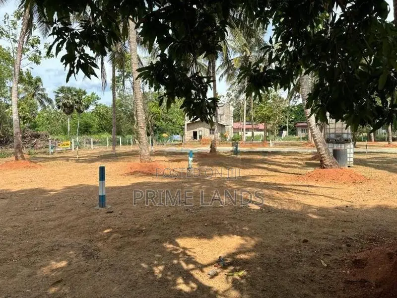 අනුරාධපුර පුජානගරයට නුදුරින් සින්නක්කර ඉඩමක්