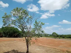 අනුරාධපුර ප්‍රධාන බස් පාරට නුදුරින් නිස්කලංක පරිසරයකින් ඉඩමක්