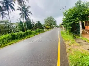 Main Road Facing Commercial Land for Sale – Padukka