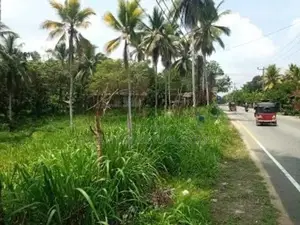 Main Road Facing Commercial Land for Sale – Padukka