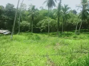 Main Road Facing Commercial Land for Sale – Padukka