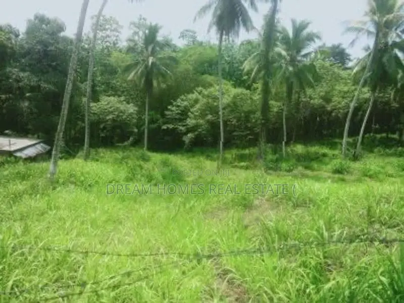 Main Road Facing Commercial Land for Sale – Padukka