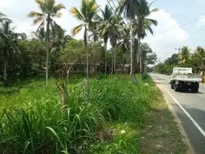 Main Road Facing Commercial Land for Sale – Padukka
