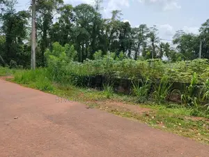 Land in Gamapaha Plot 01