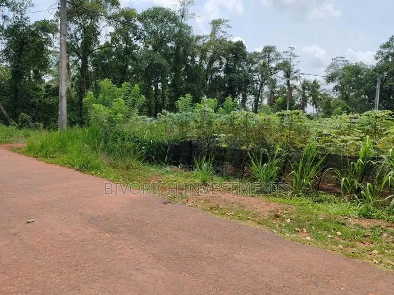 Land in Gamapaha Plot 01